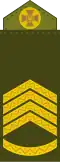 Головний сержант Holovnyi serzhant (Ukrainian Ground Forces)[17]