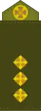 Старший лейтенант Starshyy leytenant (Ukrainian Ground Forces)[21]