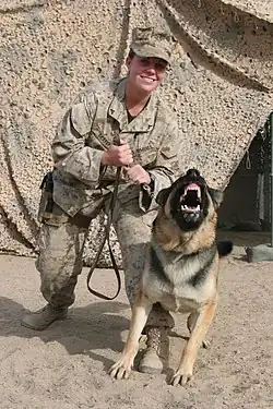 Lance Corporal Leavey with Rex in Iraq, November 2005