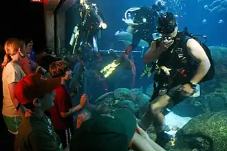 Divers in one of the aquariums.