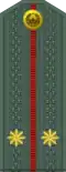 Leytenant (Uzbek Ground Forces)[85]