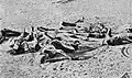 Corpses of Famine Victims enhaced