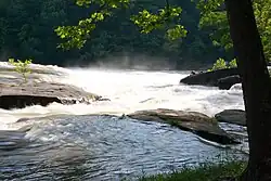 A low waterfall along a stream with a forested rock ledge in the background, and flat rocks in the foreground.