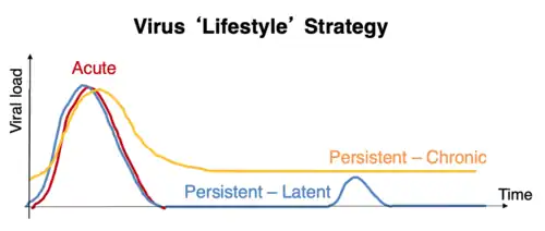 A graph summarising the various virus "lifestyle strategies, acute, chronic and latent