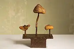 Champi(gn)ons (2017), a sculpture made with parasol mushrooms