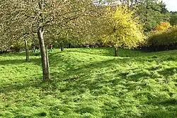 Part of the linear boundary known as the Wansdyke 585&nbsp;m north of Tuckingmill Farm