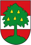 The arms of Dornbirn feature pears, Birn in German