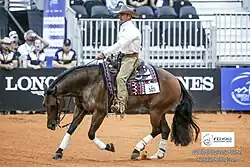 Warwick riding a horse in a showpen