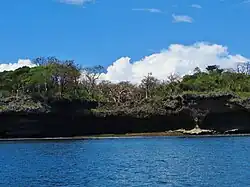 The island is located on a fossile coral reef, with Baobab trees growing on it.
