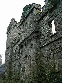 Facade of the castle's ruined west-wing and tower