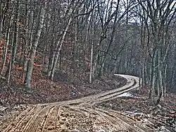 Along a road in northwestern Sunfish Township