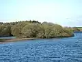 Dorman's Island Crannog, Whitefield Loch - Machermore Loch
