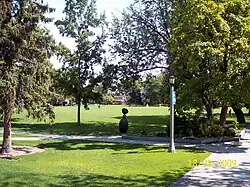 A view toward the Quad from the steps of Penrose Library