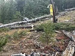 Wreckage from an airplane crash is scattered among fallen logs. A Wichita State jacket, with a yellow “W” on it, and a bouquet of artificial sunflowers lie beside the wreckage. A small figure with yellow hair is tucked into the jacket pocket. The ground is covered in dirt, rocks, and shrubs.