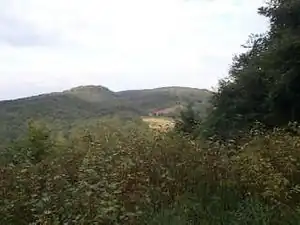 View of the Reineberg (left hill) from the neighbouring Wurzelbrink