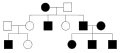 In an X-linked recessive disorder, males are more likely to be affected than females. Affected sons typically have unaffected mothers. The father also must be affected for the daughter to be affected, and the mother must be affected or a carrier for the daughter to be affected. The disorder is also never passed from father to son. Only females can be carriers for the disorders. X-linked recessive disorders also typically skip a generation.