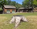 Replica of a wood shop / schoolhouse (left) and blacksmith shop (right); in the front the stump of a valley oak taken down in 2016