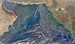 Phytoplankton bloom over the Arabian Sea
