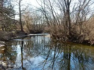 Wissahickon Creek in Morris Arboretum