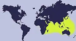 A map of the distribution of Mauritia arabica