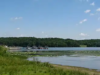 A tree-lined lake with lily pads and four pontoon boats at a dock in the distance