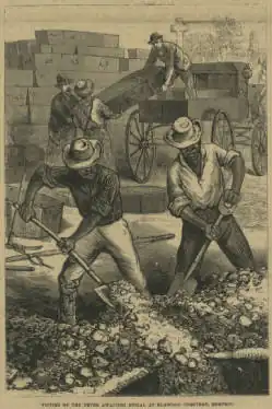 Yellow fever burials