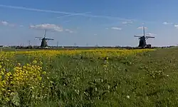 Windmill: de Tweemanspolder Molen No. 1 and 2