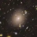 Euclid image of a bright Einstein ring around galaxy NGC 6505