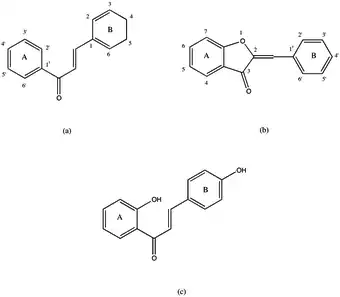 Chalcone and aurone images.
